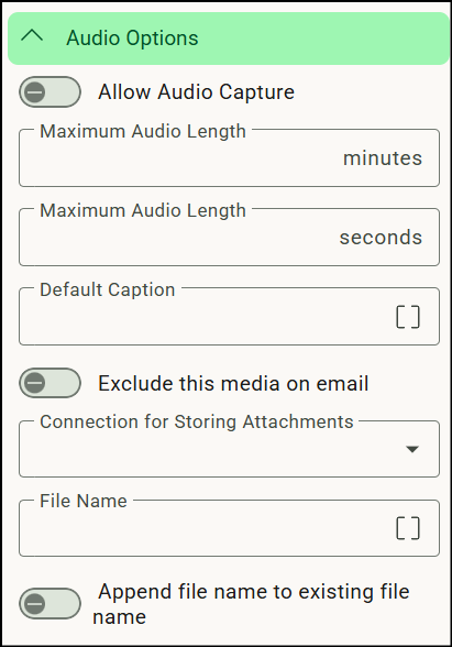 Using Audio Options